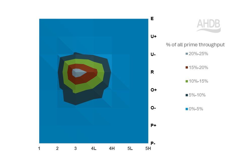 YTD 2025 europ grip proportion of kill